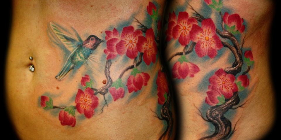 Jason Adkins- Humming bird-cherry blossom 8 x 10 300 dpi