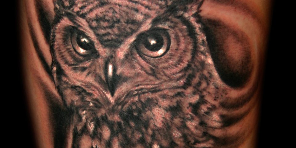 Owl black and grey 8×10 300 dpi